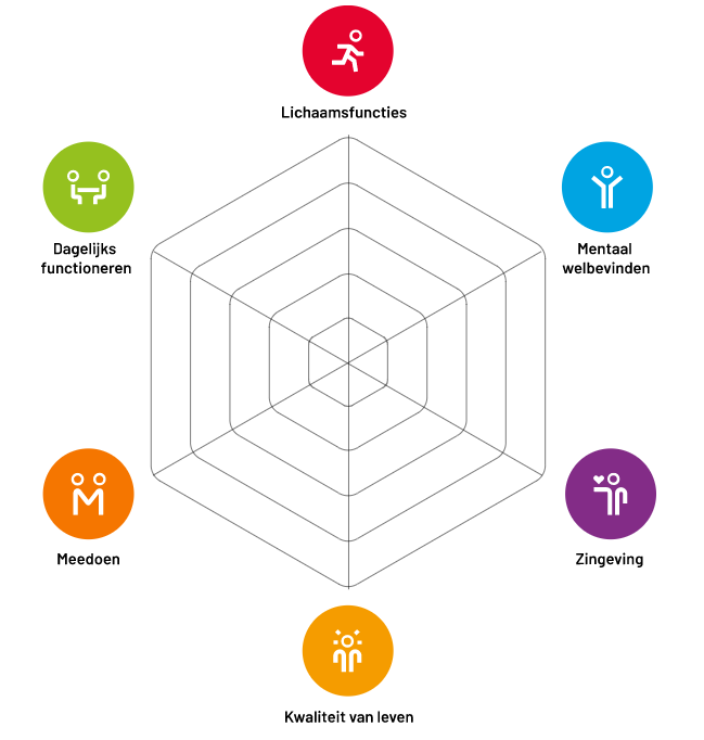 Positieve Gezondheid Spinnenweb iPH - 6 Dimensies